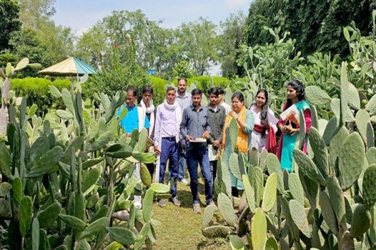 ग्रीन-एजी परियोजना के तहत कांटारहित कैक्टस खेती सीखने अमलाहा पहुँचे किसान