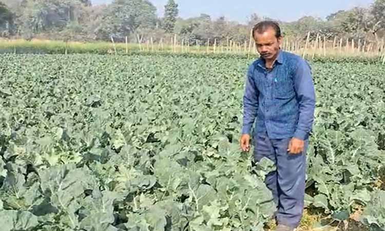 बाराबंकी के किसानों की आर्थिक मजबूती में प्रधानमंत्री किसान सम्मान निधि योजना का योगदान