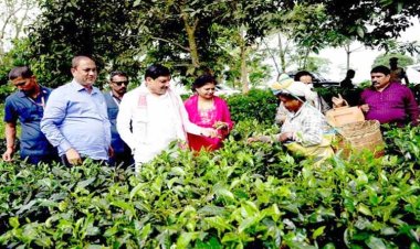 मध्यप्रदेश और असम के बीच वन्य जीव पर्यटन में साझेदारी के लिए होगी विशेष पहल : मुख्यमंत्री डॉ. यादव