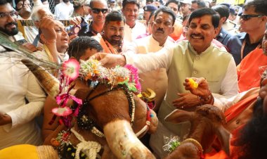 गौ-शालाओं को विकसित करेंगे गौ-मंदिर के रूप में : मुख्यमंत्री डॉ. यादव