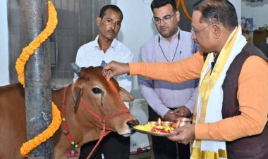 रायपुर : गोवर्धन पूजा के अवसर पर मुख्यमंत्री ने किया गौपूजन, प्रदेशवासियों की सुख-समृद्धि की कामना की