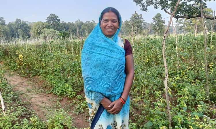 रायपुर : छत्तीसगढ की टमाटर ‘महाराष्ट्र की रसोई’ तक पहुंची