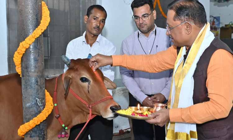 रायपुर : गोवर्धन पूजा के अवसर पर मुख्यमंत्री ने किया गौपूजन, प्रदेशवासियों की सुख-समृद्धि की कामना की