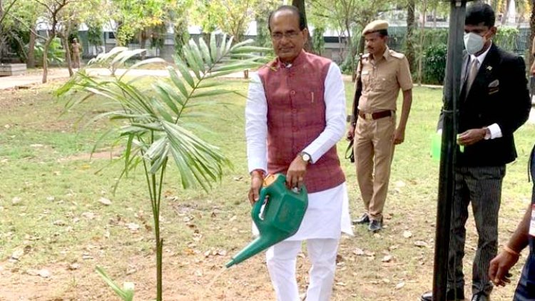 मुख्यमंत्री श्री चौहान ने चैन्नई प्रवास के दौरान पौध-रोपण किया
