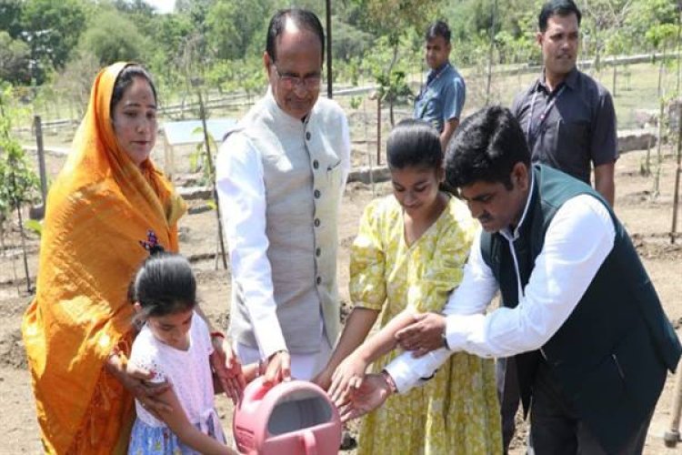 मुख्यमंत्री श्री चौहान ने पीपल, अमरूद और जामुन के पौधे लगाए