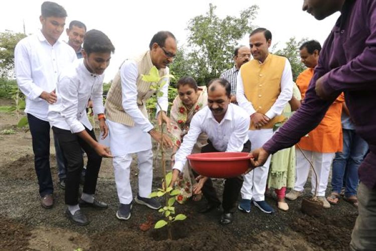 मुख्यमंत्री श्री चौहान ने पीपल, हरसिंगार और कदम्ब के पौधे रोपे