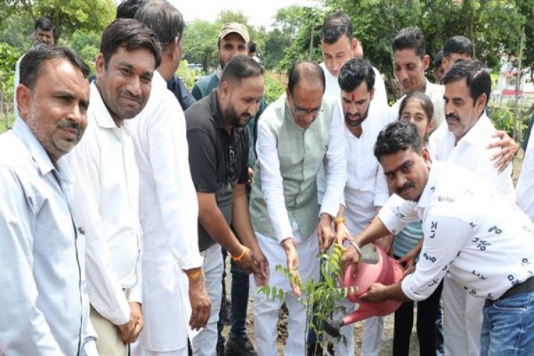मुख्यमंत्री श्री चौहान के साथ जन-प्रतिनिधियों ने रोपे पौधे