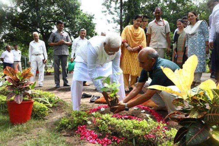 राज्यपाल श्री मंगुभाई पटेल ने 2 वर्ष के कार्यकाल की पूर्णता पर किया पौध-रोपण