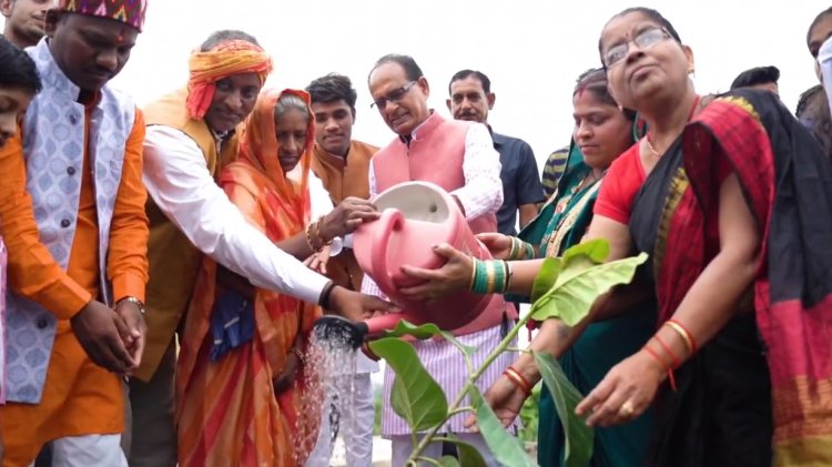 मुख्यमंत्री स्वेच्छानुदान से किडनी दान करने वाली सास और बहू के साथ किया मुख्यमंत्री ने पौधारोपण