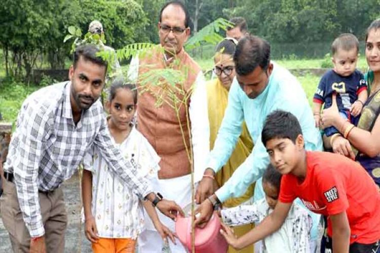 मुख्यमंत्री श्री चौहान ने आम, खिरनी और गुलमोहर के पौधे रोपे