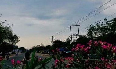 CG Weather News: पश्चिमी विक्षोभ के प्रभाव से तापमान में नहीं होगा बदलाव, कुछ दिनों बाद बढ़ेगी ठंड