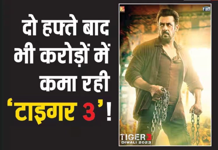 Tiger 3 Box Office Collection: दो हफ्ते बाद भी करोड़ों में कमा रही सलमान खान की 'टाइगर 3'! देशभर में 300 करोड़ से चंद कदम दूर तो वर्ल्डवाइड 400 करोड़ के हुई पार