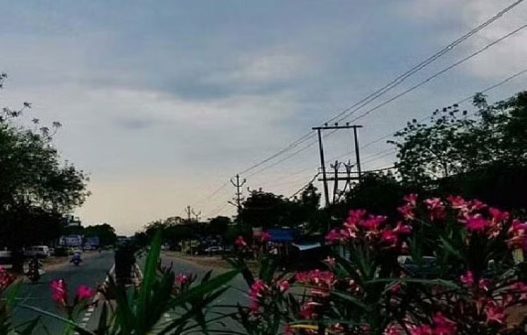 CG Weather News: पश्चिमी विक्षोभ के प्रभाव से तापमान में नहीं होगा बदलाव, कुछ दिनों बाद बढ़ेगी ठंड