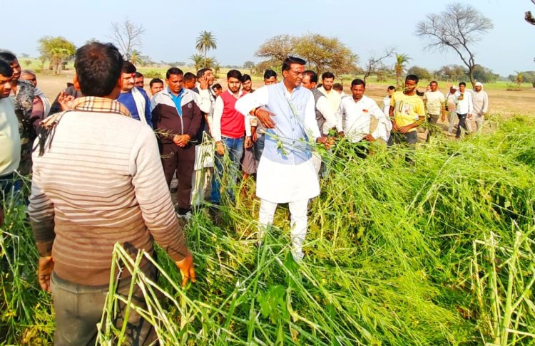 किसानों को ओलावृष्टि से प्रभावित फसलों का मुआवजा मिलेगा : राज्यमंत्री श्री अहिरवार