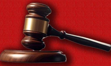 Sonipat News: महिला का पर्स छीनने के दोषी को पांच साल कैद