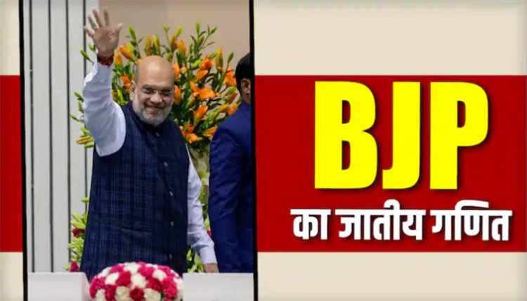 Lok Sabha Elections 2024: पहली लिस्ट में बीजेपी ने कैसे साधा जातीय समीकरण, देखें किस जाति के कितने उम्मीदवार