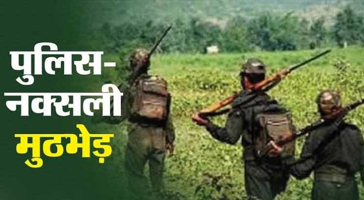 Chhattisgarh News: CG-महाराष्ट्र बॉर्डर पर मुठभेड़ में चार नक्सली ढेर, AK-47 समेत हथियारों का जखीरा बरामद