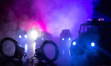 UP: प्रतिबंधित पशुओं का मांस सप्लाई करने वाले नेटवर्क में सफेदपोश भी शामिल, चार साल में 100 करोड़ का माल भेजा