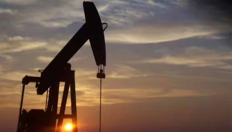 Crude Import: फिर से बढ़ा रूस से कच्चे तेल का आयात, पिछले महीने इतना रहा हिस्सा