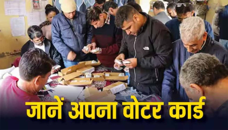 Lok Sabha Election 2024: सिर्फ एक SMS से जानें वोटर आईडी कार्ड डिटेल, ये है आसान तरीका