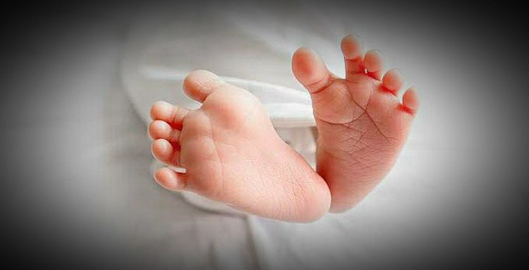 Neonatal Death: जन्म के 7 दिनों के भीतर हो रही नवजातों की मौत, स्टडी में हुआ चौंकाने वाला खुलासा, जताई चिंता