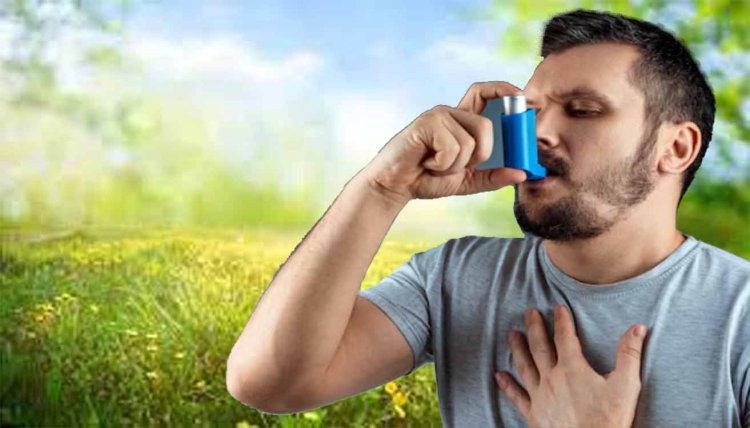 Asthma Stages: अस्थमा के होते हैं चार स्टेज, जानें कौन ज्यादा 'खतरनाक', कैसे रखें खुद को सेफ ?