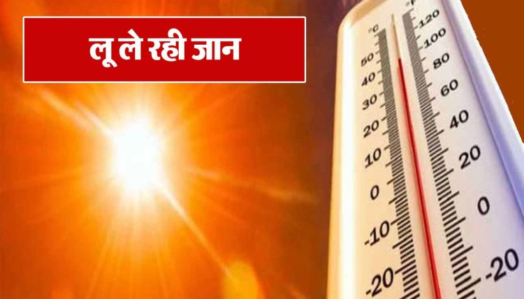 Firozabad: भीषण गर्मी से हाल बेहाल, आंध्र प्रदेश की महिला तीर्थयात्री की मौत; दो अन्य की हालत बिगड़ी