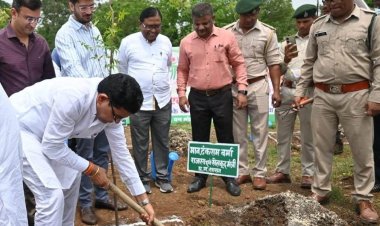 रायपुर : राजस्व मंत्री ने पेड़ लगाकर ‘एक पेड़ अपनी मां के नाम अभियान‘ की शुरुआत