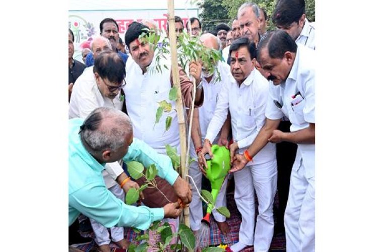 पौध-रोपण कर पेड़ बनने तक उनका संरक्षण करें -उप मुख्यमंत्री श्री देवड़ा
