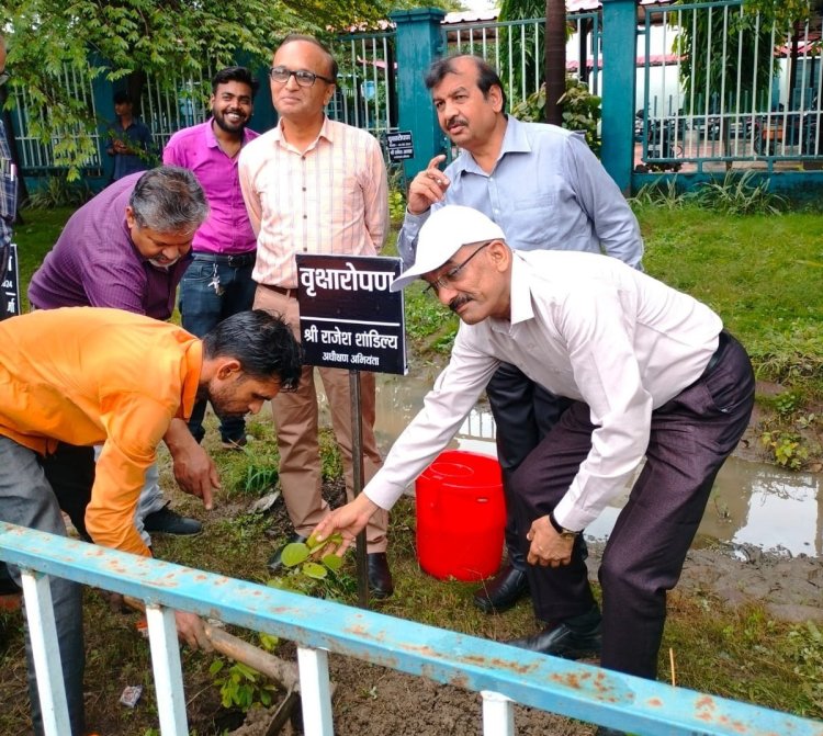 एम.पी. ट्रांसको मुख्यालय में हुआ वृहद पौधारोपण