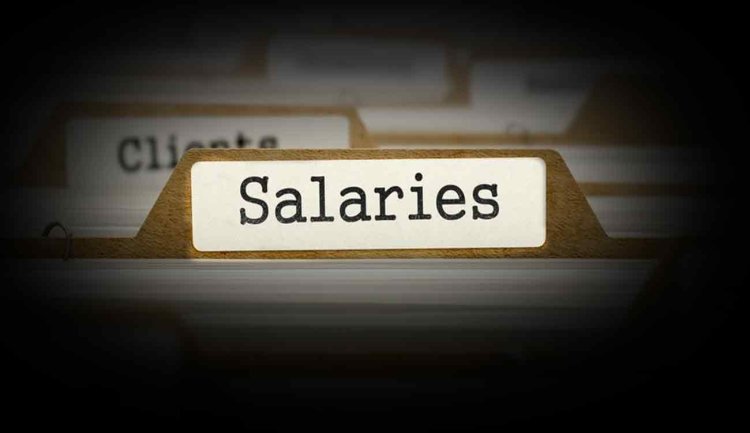 Salary in IT Sector: फ्रेशर्स को 20 हजार रुपये सैलरी देना भी पैसे की बर्बादी, बिजनेसमैन की राय पर छिड़ी नई बहस