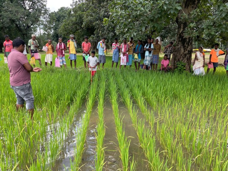 रायपुर:जिला प्रशासन के मार्गदर्शन में कृषि विभाग की अभिनव पहल