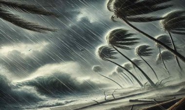 Cyclone Fengal: फ्लाइट रद्द, ट्रेनों के थमे पहिए, स्कूल-कॉलेज भी बंद... तबाही मचाने को तैयार 'फेंगल', इन राज्यों में बारिश का अलर्ट