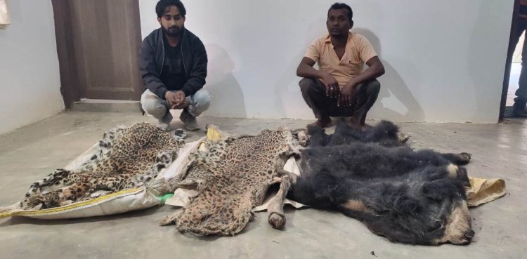 रायपुर : हाथी दांत, तेंदुआ और भालू की खाल तस्करी में पांच आरोपी गिरफ्तार