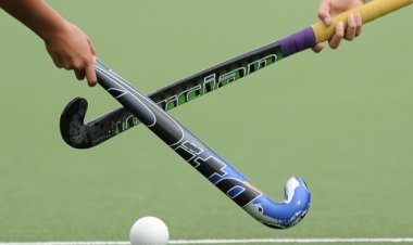 एफआईएच प्रो हॉकी लीग: भारत की पुरुष और महिला टीमों को करना पड़ा हार का सामना