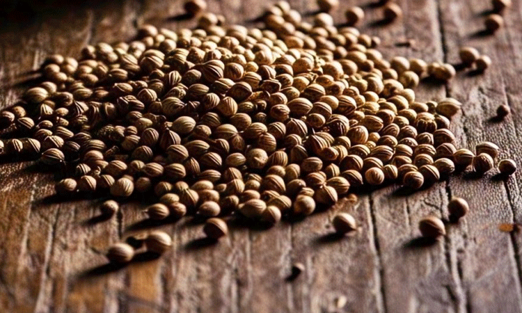 फिटनेस का आसान मंत्र: जानिए कैसे धनिए का पानी घटा सकता है वजन