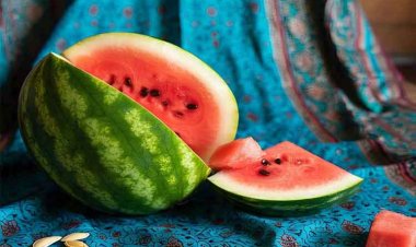 सेहत का खजाना हैं तरबूज के बीज, जानिए कैसे करें सेवन और क्या हैं इसके जबरदस्त फायदे