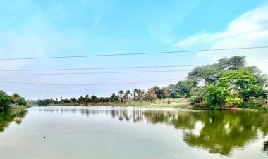 प्रधानमंत्री श्री मोदी 31 मई को क्षिप्रा नदी पर 778 करोड़ के घाट निर्माण कार्यों का भोपाल से करेंगे वर्चुअल भूमि-पूजन