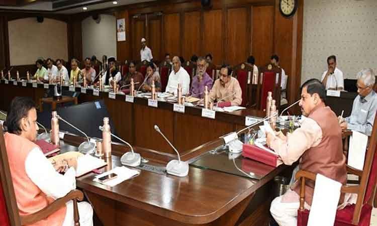 जंगली हाथियों के प्रबंधन के लिए 47 करोड़ 11 लाख रुपये से अधिक की योजना की स्वीकृति