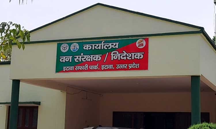 इटावा सफारी पार्क 29 मार्च से फिर खुलेगा, कोविड नियमों का पालन अनिवार्य