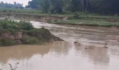 नेपाल में भारी बारिश से झीम नदी में उफान, डायवर्सन टूटा