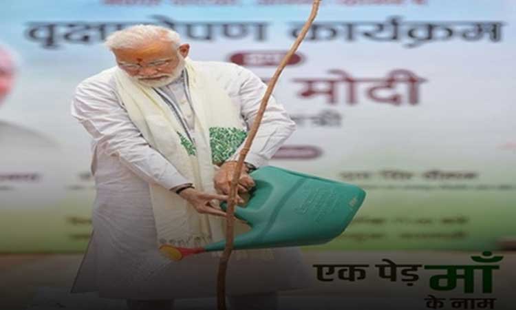विश्व पर्यावरण दिवस पर प्रधानमंत्री मोदी ने किया ‘एक पेड़ मां के नाम’ अभियान का शुभारंभ, अरावली हरित दीवार परियोजना को मिला नया बल