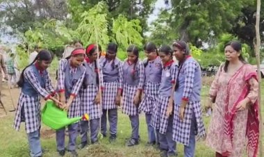 बरेली में पौधरोपण महाअभियान शुरू, एक हफ्ते में लगेंगे 42 लाख पौधे