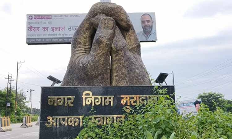 बासमती चावल की गुणवत्ता सुधारने के लिए यूपी सरकार का बड़ा कदम, 11 कीटनाशकों पर 60 दिन का प्रतिबंध