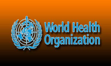 डब्ल्यूएचओ ने सफलतापूर्वक पूरा किया 6वां वार्षिक वर्चुअल cGMP ट्रेनिंग मैराथन: 2,500 से अधिक प्रोफेशनल्स हुए शामिल