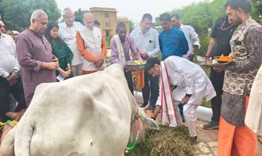 गोवर्धन पूजा प्रकृति से जुड़े रहने की देती है सीख- उप मुख्यमंत्री श्री शुक्ल