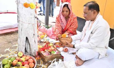 रायपुर : आंवला नवमी पर मुख्यमंत्री ने आंवला वृक्ष की पूजा कर प्रदेशवासियों के सुख-समृद्धि की कामना की