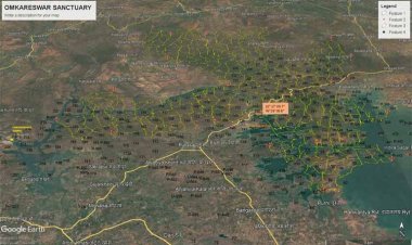 ओंकारेश्वर अभयारण्य वन्य-जीव संरक्षण और पर्यटन को बढ़ावा देने में निभाएगा महत्वपूर्ण भूमिका : मुख्यमंत्री डॉ. यादव